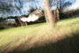 hamac in garden photo